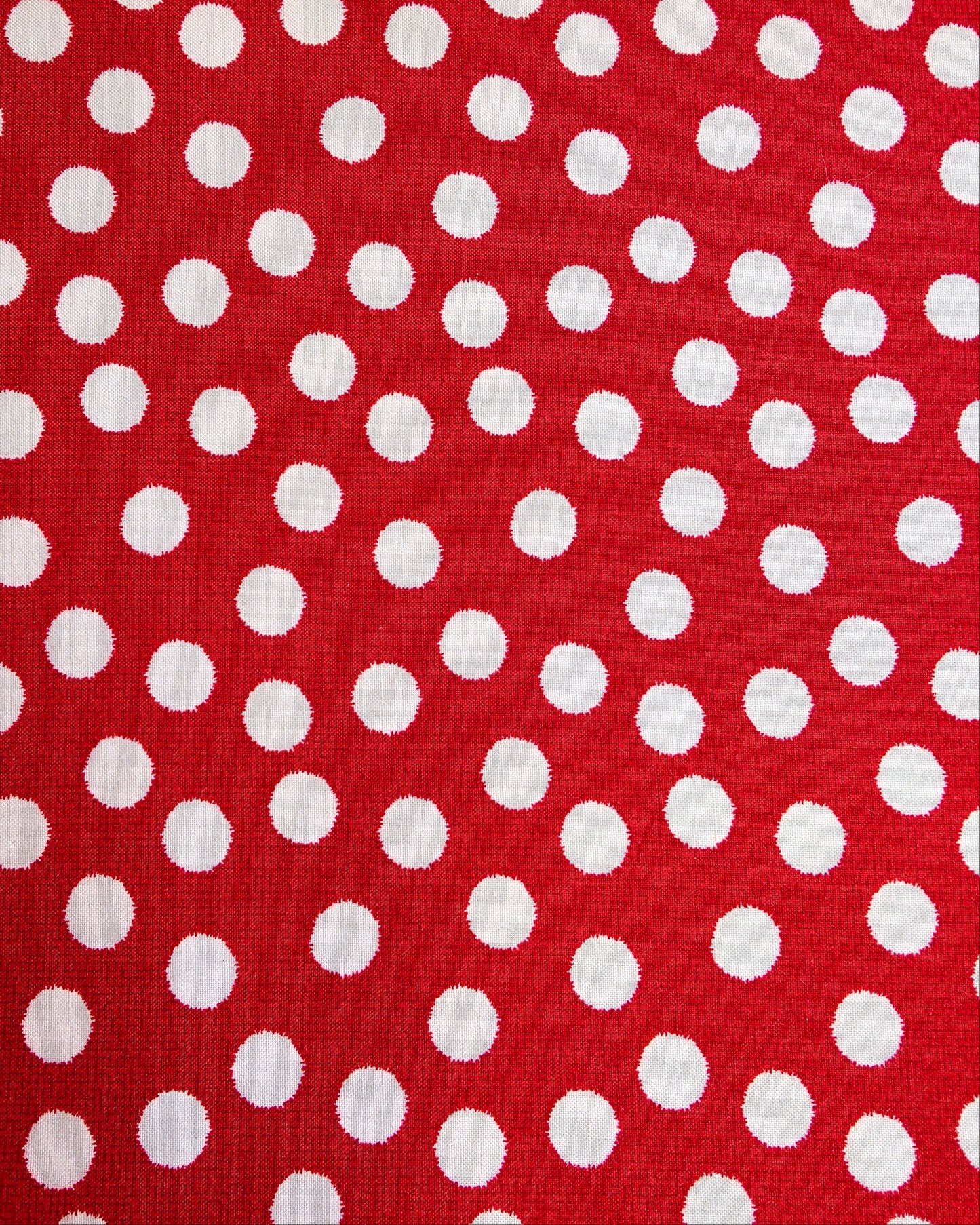 NE Cursive Big Polka Dot T-Shirt