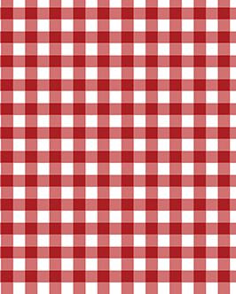 NE State Gingham Tank