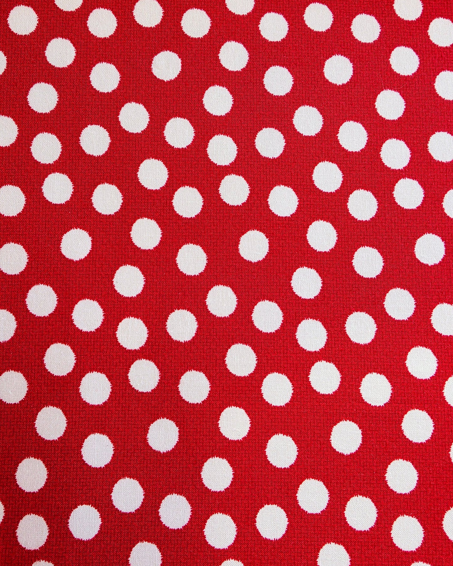 NE Big Polka Dot State Sweatshirt